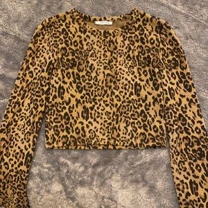 Zara Cheetah Print Fitted Crop Top